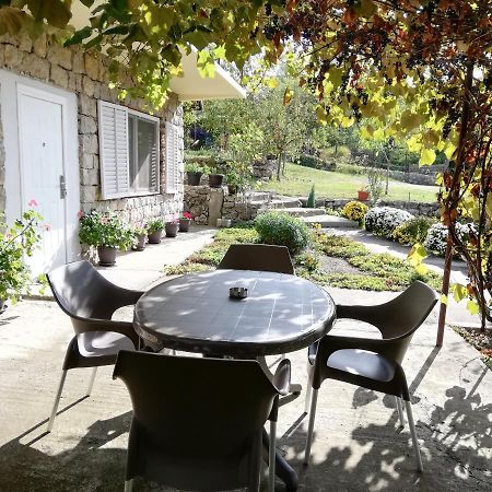 Apartment Jazz Golubac Eksteriør billede